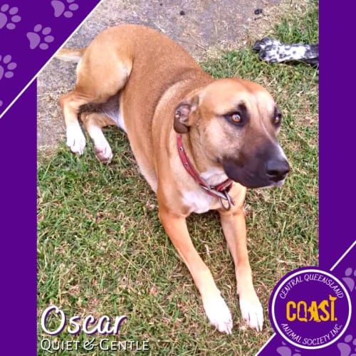 Oscar