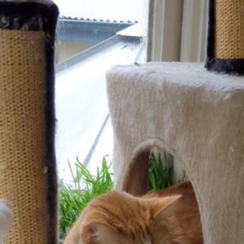 Charlie