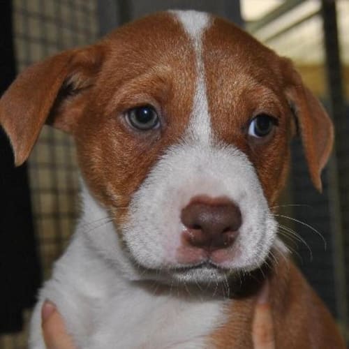 No photo for Shay 