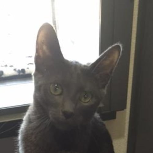 Eugene