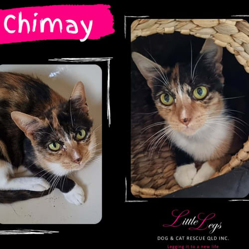 Chimay