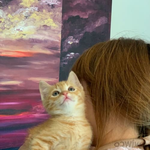 Stevie Mitts and Captain Kipper