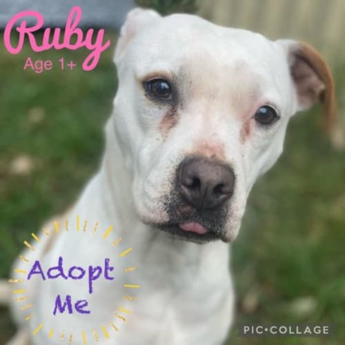 Ruby