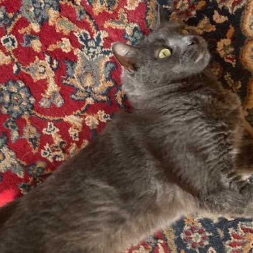 Luna