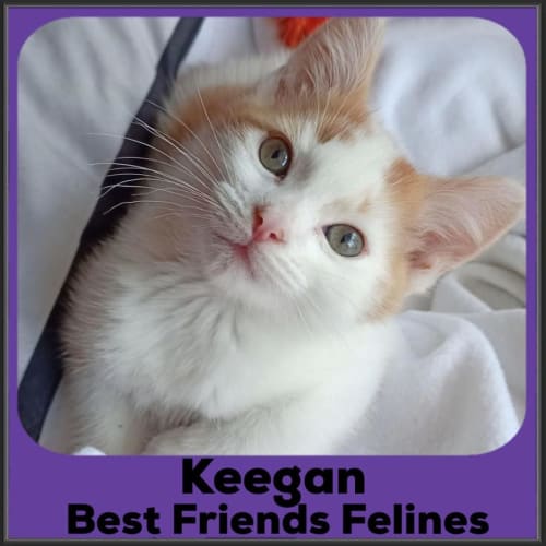 Keegan 