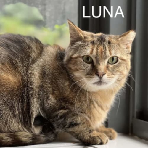 Luna