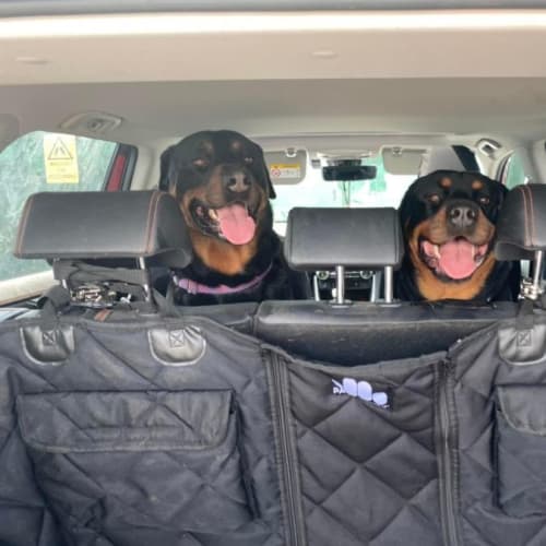 Opie & Lyla
