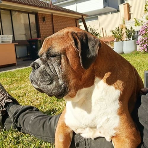 Zeus