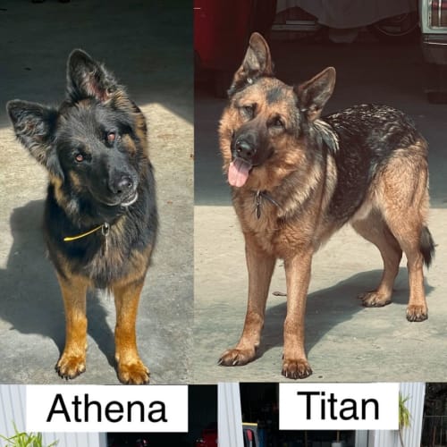 Titan