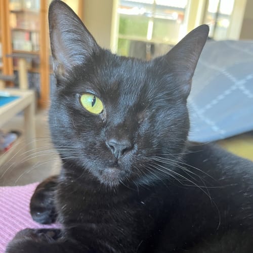 Sabine