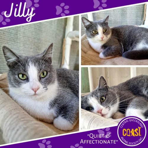 Jilly