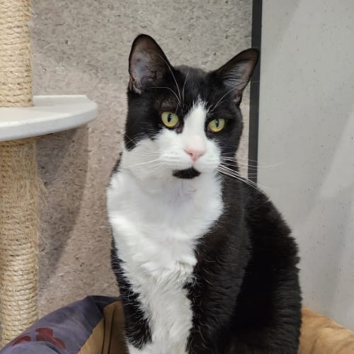 Milo