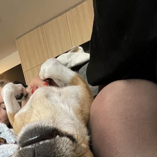 Milo