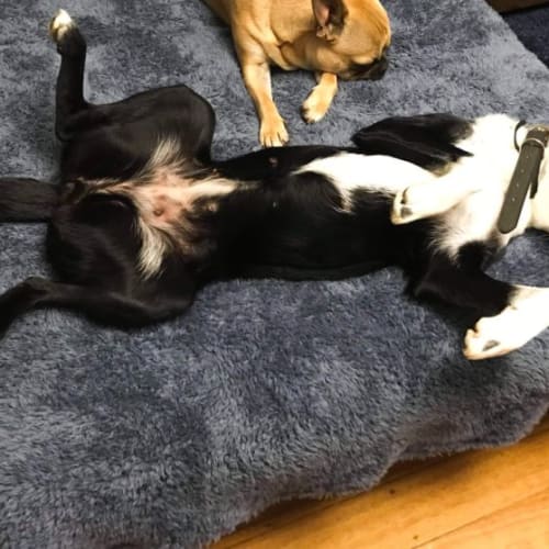 Zoe
