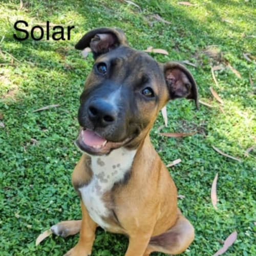 Solar