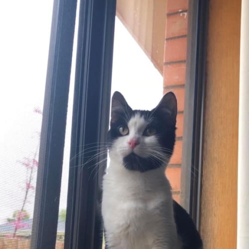 Minnie