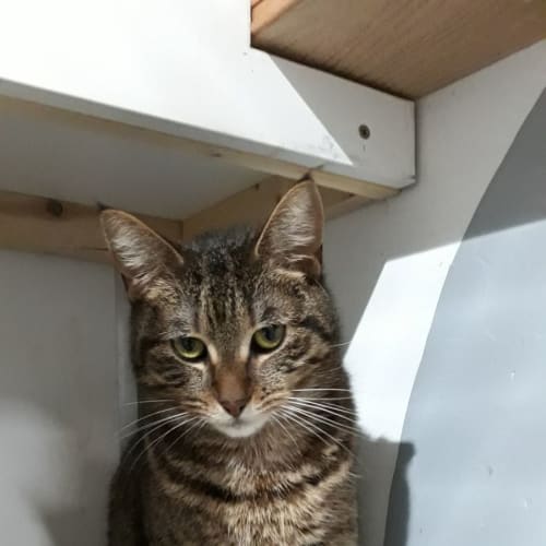 Luna