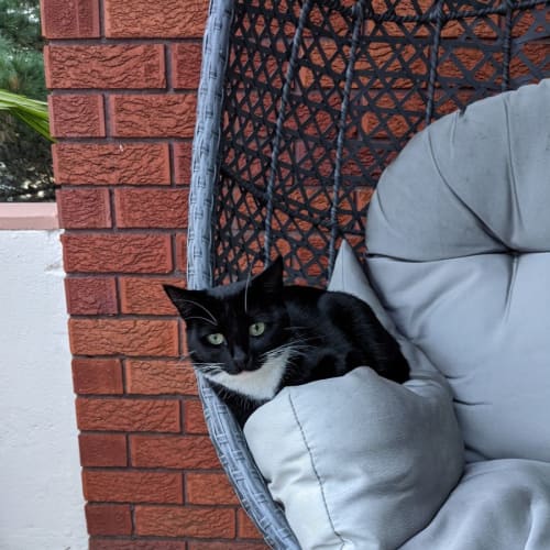Luna