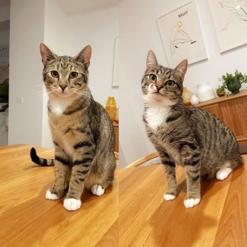 🍬🔮Jellybean & Tabitha🔮🍬