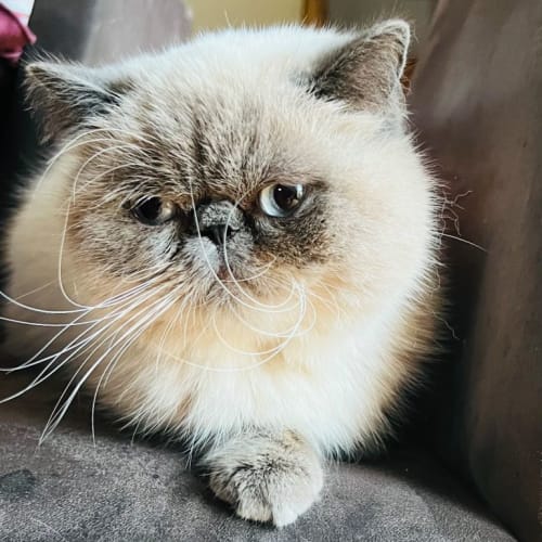 Casper