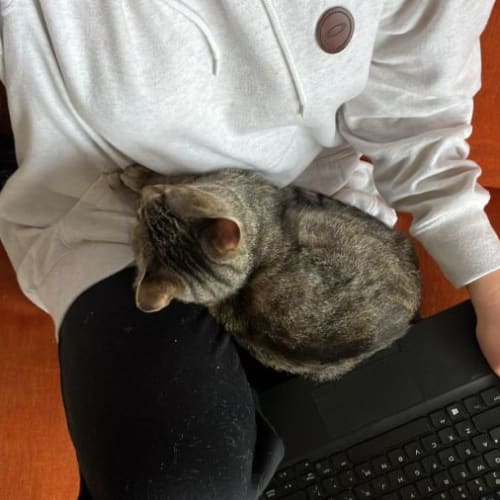 Nala