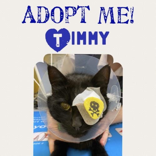 Timmy