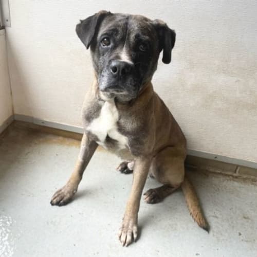 Winston (IMP No. 1543)