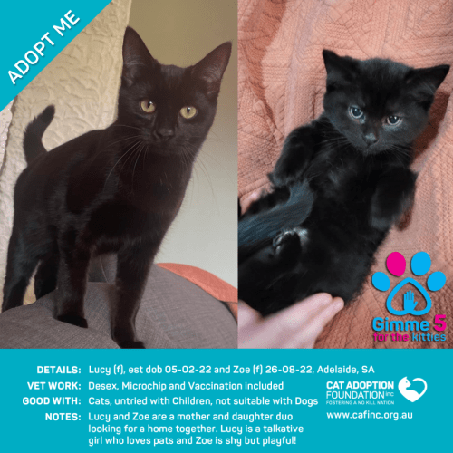 Lucy & Zoe - 2 for 1 Mum & Bubs Deal!