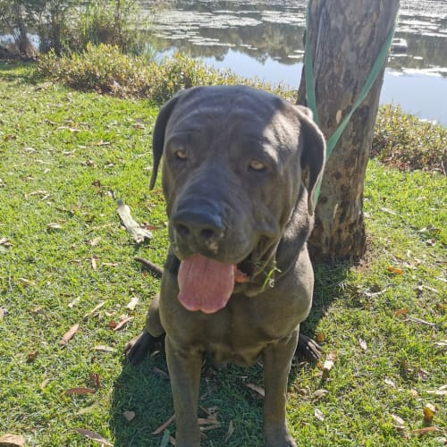 Zeus