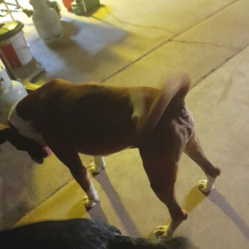 Max