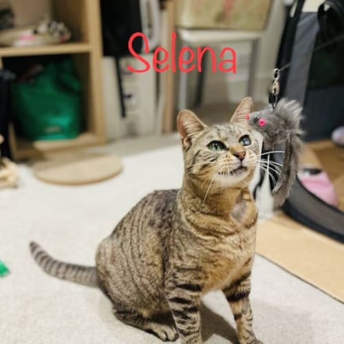 Selena