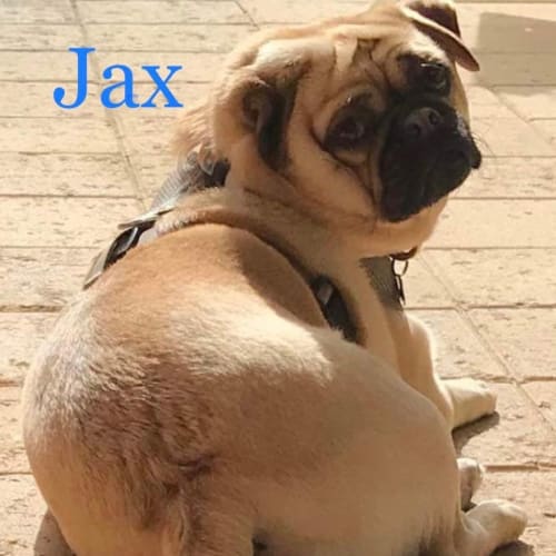 Jax
