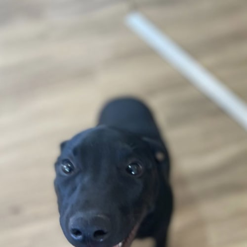 Charlie