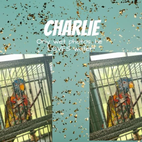 Charlie