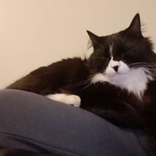 Max