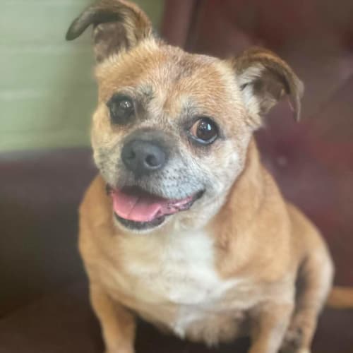 Matilda (bonded With Bella)