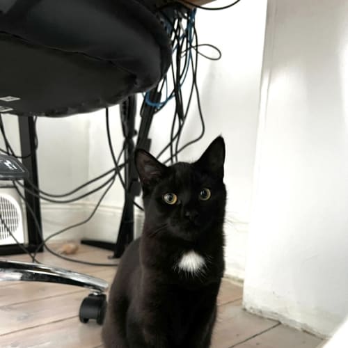 Boris & Bugs