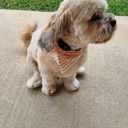 Arlo