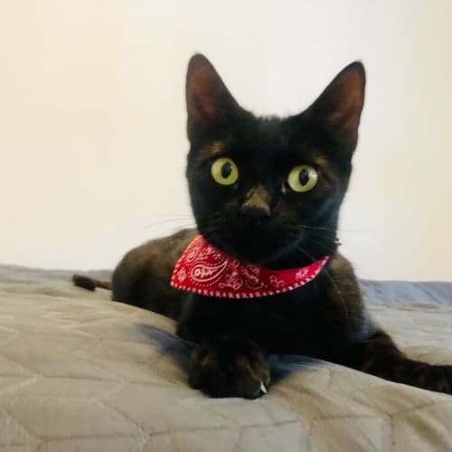 Sabrina