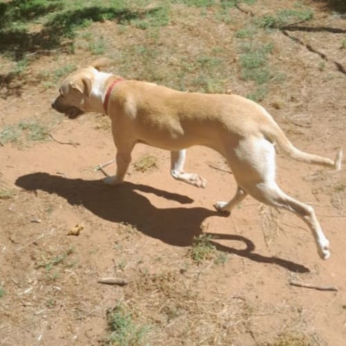 Max