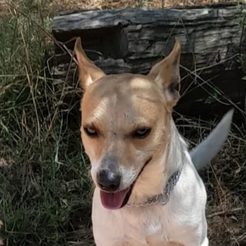 Pablo