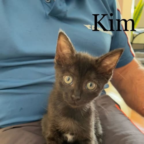 Kim