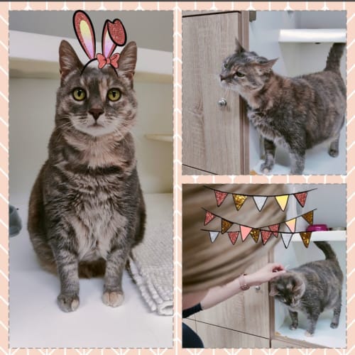 👑 Mimi 👑 F02267