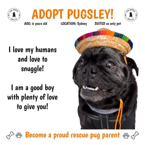 Pugsley
