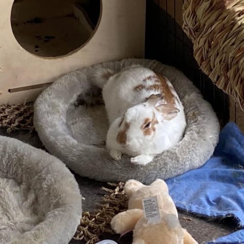 Ooshie (Bert) with Tinky