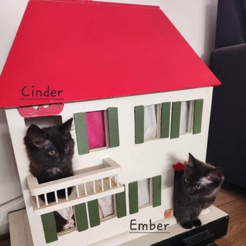 Ember
