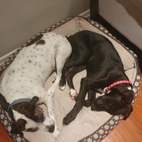 Betty (QLD)