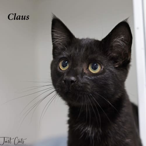 Claus