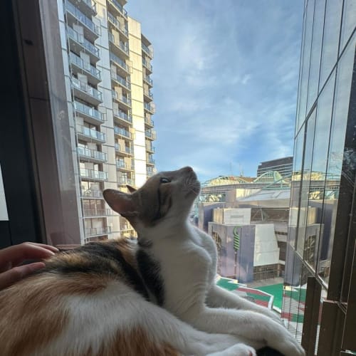 Frida