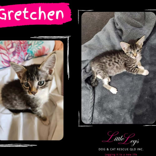 Gretchen